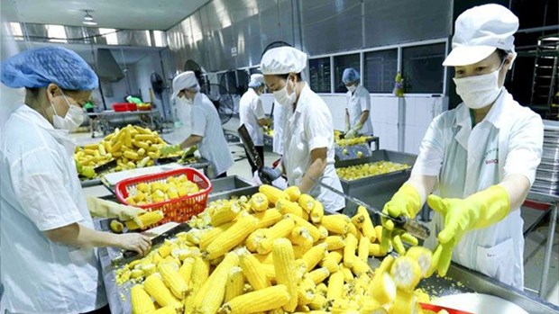 《越南与欧盟自由贸易协定》: 越南农产品提高质量和创建品牌 hinh anh 1