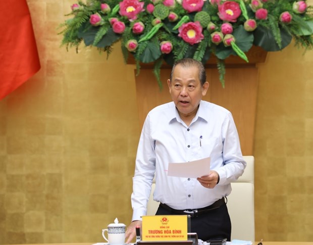 越南常务副总理张和平：加快推进国有企业股份制改造和国有资本退出进程 hinh anh 1
