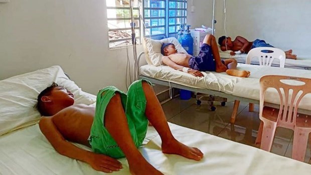 “基孔肯雅热”病已蔓延至柬埔寨15个省份 hinh anh 1