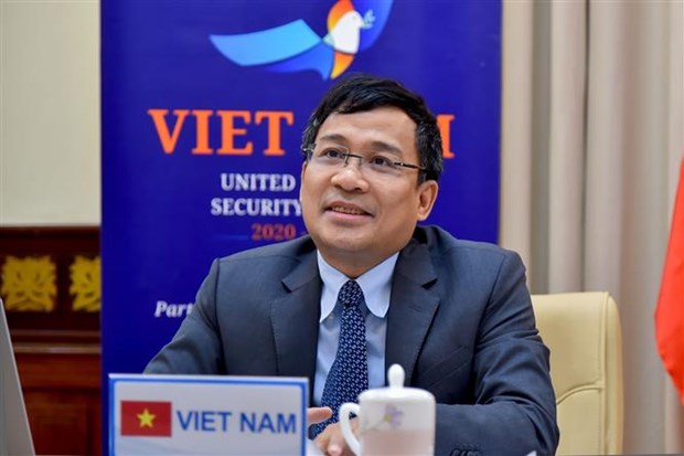 越南与联合国安理会：越南愿同有关各方合作有效打击恐怖主义和有组织犯罪 hinh anh 2