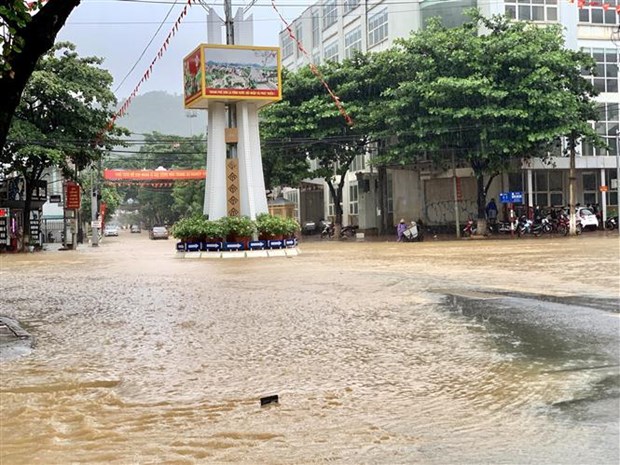 越南多地出现的暴雨天气造成人员和财产严重损失 hinh anh 2