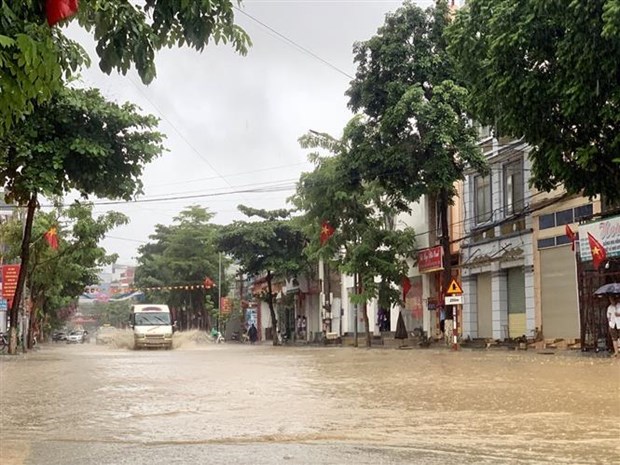 越南多地出现的暴雨天气造成人员和财产严重损失 hinh anh 1