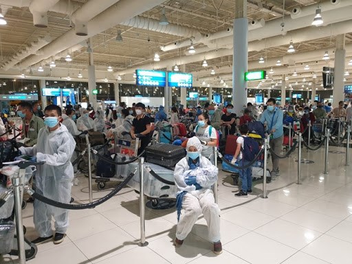 新冠肺炎疫情：在阿联酋的260名越南公民安全回国 hinh anh 1