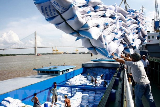 越南向非洲市场的大米出口继续呈大幅增长趋势 hinh anh 1