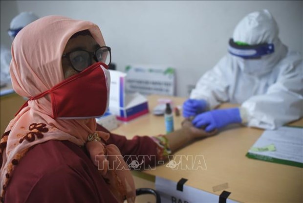 印尼投入3.39亿美元用于生产新冠肺炎疫苗 hinh anh 1