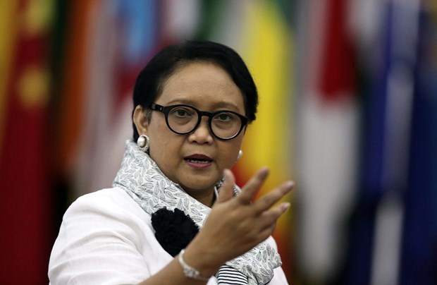 印尼呼吁在疫情情况下加强和平外交 hinh anh 1