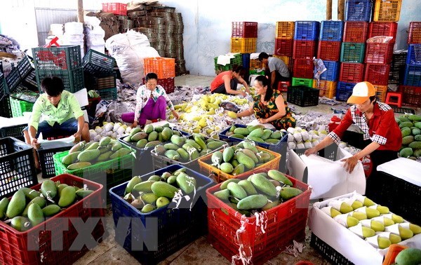 越南贸易顺差额和许多产品出口额创新纪录 hinh anh 1