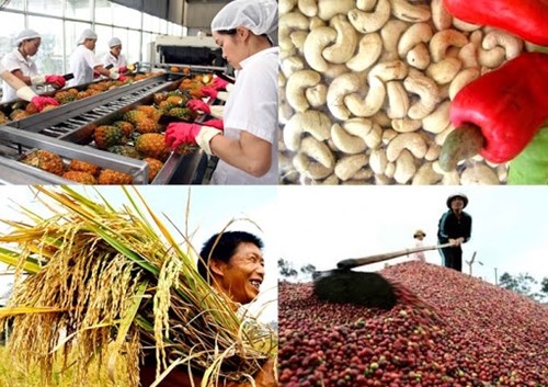 俄罗斯：越南农产品的潜在市场 hinh anh 1