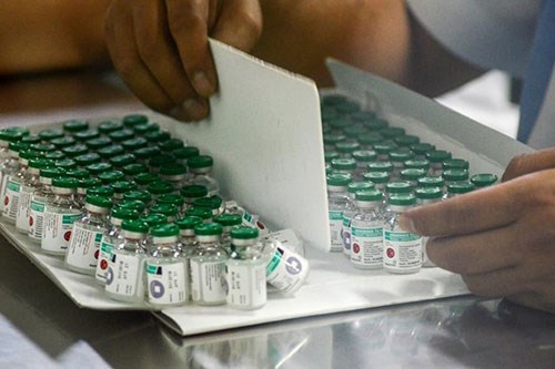 泰国新冠疫苗在小鼠和猴子身上实验取得成功 印尼拟免费向民众提供新冠疫苗 hinh anh 2