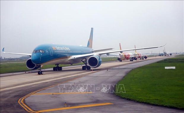 各家航空公司恢复运营至岘港往返定期航班 hinh anh 1