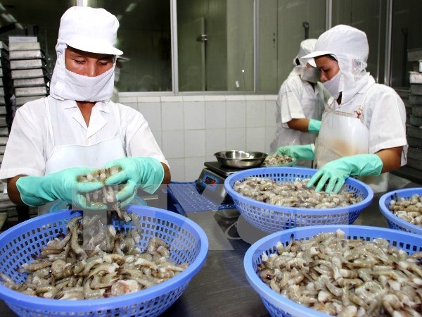 越南对欧盟虾类出口猛增 hinh anh 1