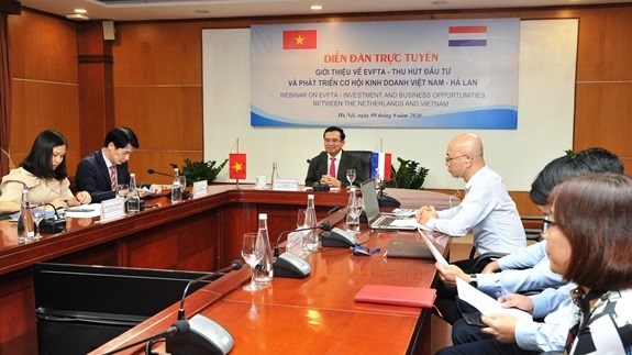 EVFTA给越南与荷兰经贸合作带来商机 hinh anh 1