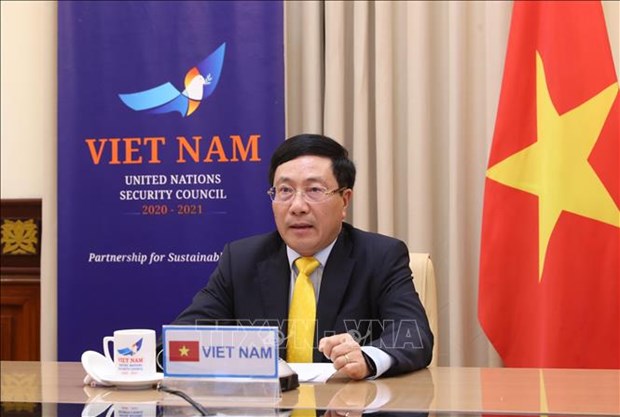 越南政府副总理兼外长范平明出席联合国安理会视频首脑会议 hinh anh 1