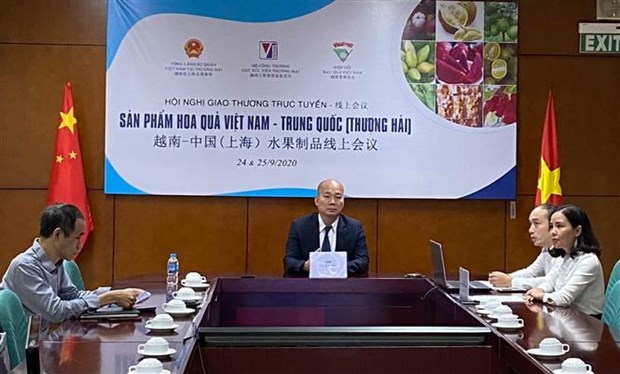 越南-中国（上海）水果制品线上会议吸引双方约40家企业参加 hinh anh 1