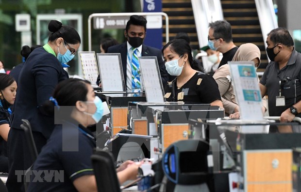 新加坡允许越南和澳大利亚游客入境 hinh anh 1