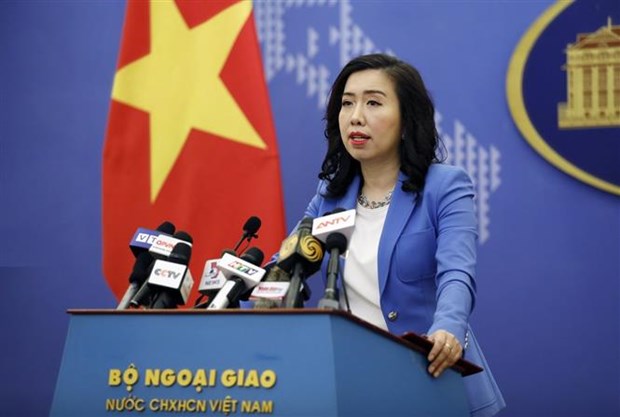 越南外交部发言人：为越南公民和新加坡公民入境创造便利条件 hinh anh 1