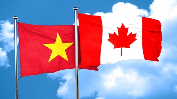 加拿大强调与越南建立的牢固商业关系 hinh anh 1