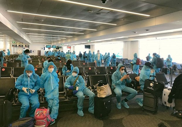 新冠肺炎疫情：将在日本的220名越南公民接回国 hinh anh 1