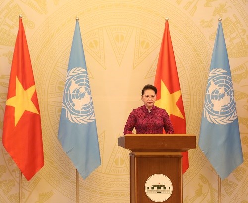 越南在联合国肯定自己的责任和建设性作用 hinh anh 3