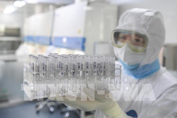 印度尼西亚拟在11月初开始接种新冠疫苗 hinh anh 1