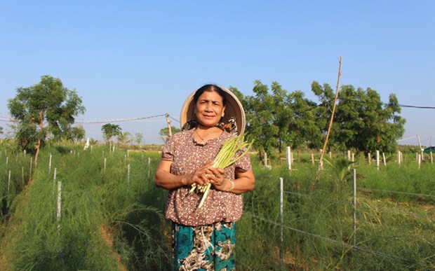 授予妇女经济权能，促进农业可持续发展 hinh anh 2
