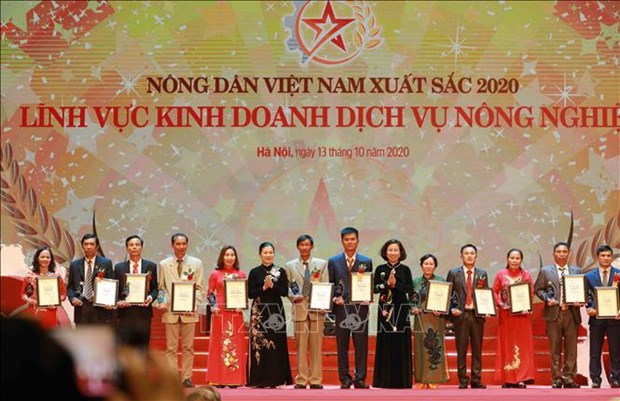 越南63名优秀农民受表彰 hinh anh 1