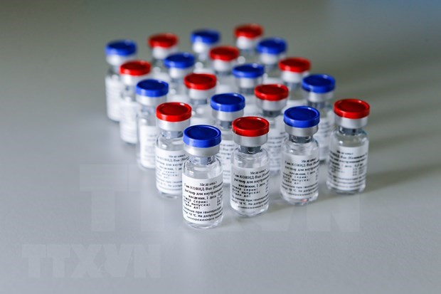 越南从俄罗斯和英国若干伙伴订购新冠疫苗 hinh anh 1