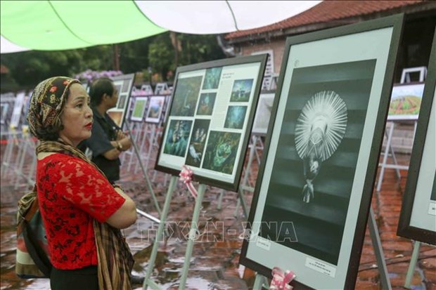 2020年越南艺术摄影大赛结果出炉 hinh anh 2