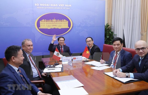 越南与秘鲁两国外交部第四次政治磋商以视频方式举行 hinh anh 1