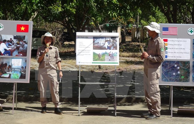 越南和平之树组织对越南各项活动起到积极的作用 hinh anh 1