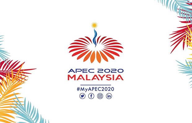 马来西亚将于11月份以视频方式举办召开亚太经合组织领导人会议 hinh anh 1
