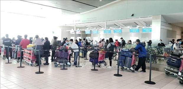 新冠肺炎疫情：滞留在阿联酋和科威特的近280名越南公民安全回国 hinh anh 1