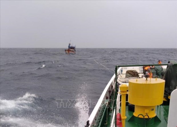 平定省26名渔民失踪事件：在海上遇险的3名渔民成功获救 hinh anh 1