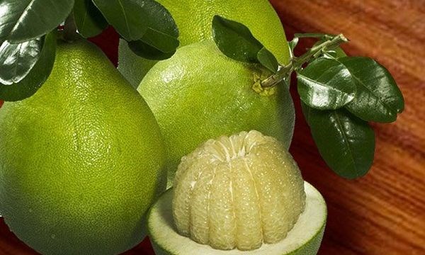 智利同意为越南柚子开放市场 hinh anh 1