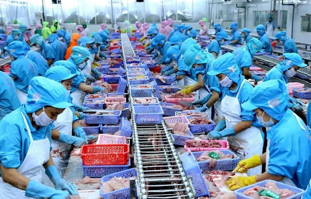 胡志明市食品生产及加工行业继续增长 hinh anh 1