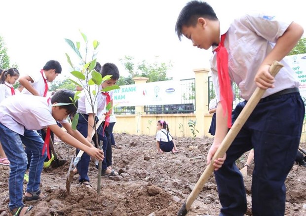 越南胡志明市致力让所有儿童都能生活在绿色清洁安全环境中 hinh anh 1