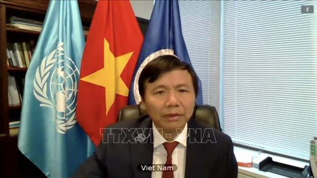 越南与联合国安理会：越南再次强调对联合国维和行动的支持 hinh anh 1