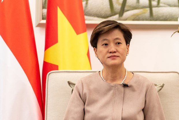 新加坡驻越大使：民众对2020年底签署RCEP充满期待 hinh anh 1
