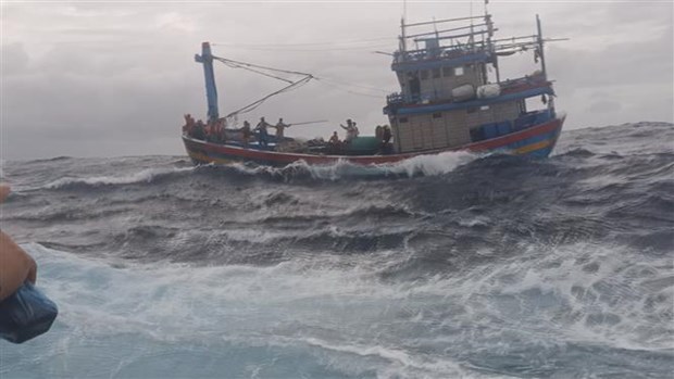 渔检船及时营救平定省一艘渔船和十多名渔民 hinh anh 1