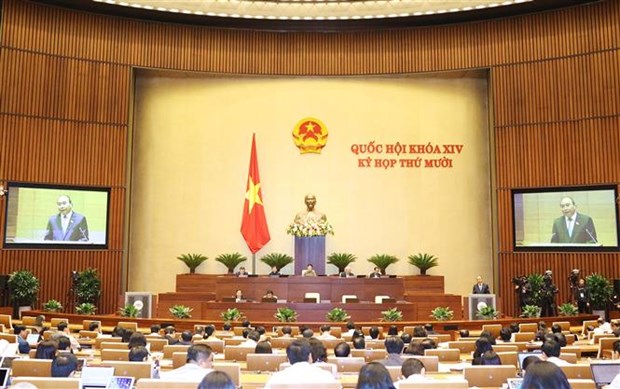 国会第十次会议：政府总理阮春福接受代表询问 hinh anh 2