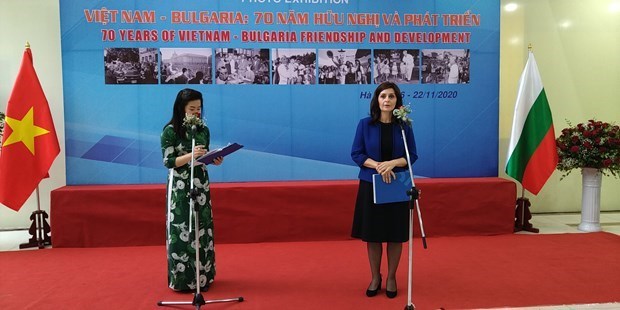 保加利亚驻越南大使佩特科娃：我钦佩越南人的活力和力量 hinh anh 1