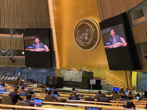 第75届联合国大会通过由越南提倡的东盟-联合国合作的决议 hinh anh 1