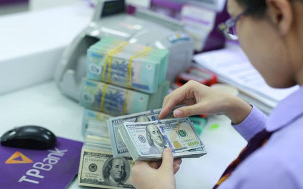 越南国家银行今年首次大幅下调美元买入价 hinh anh 1