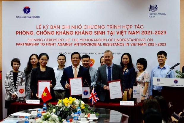 越南与英国在抗生素耐药性领域展开合作 hinh anh 1