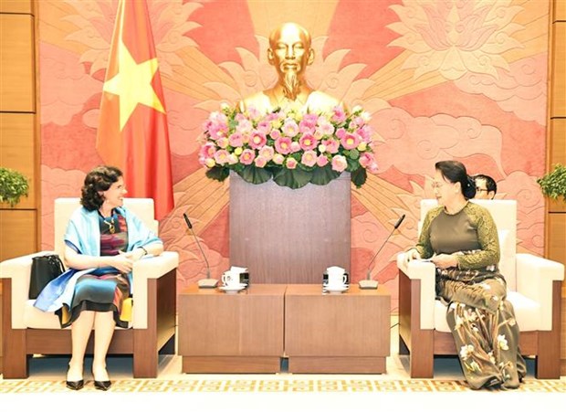越南国会主席阮氏金银会见古巴和俄罗斯驻越大使 hinh anh 1