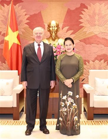 越南国会主席阮氏金银会见古巴和俄罗斯驻越大使 hinh anh 2