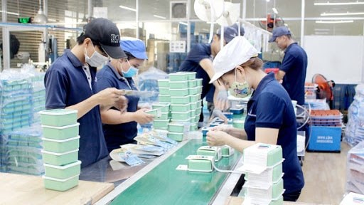 2020年11月份越南新设企业数量环比增长7.3% hinh anh 1