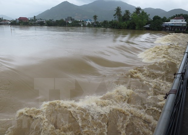 中部和西原地区暴雨洪水致四人死亡和两人失踪 hinh anh 1