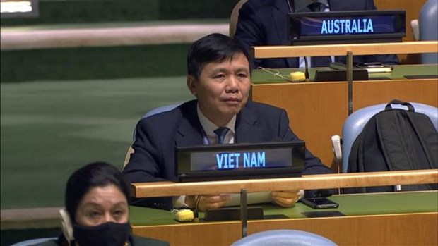 联合国大会通过由越南提出的第一项决议 hinh anh 1