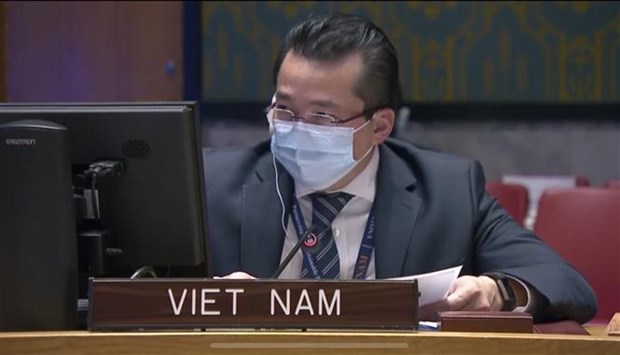 越南对刚果的暴力和动荡局势表示担忧 hinh anh 1